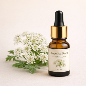 שמן אתרי אנג'ליקה Angelica Root Essential Oil