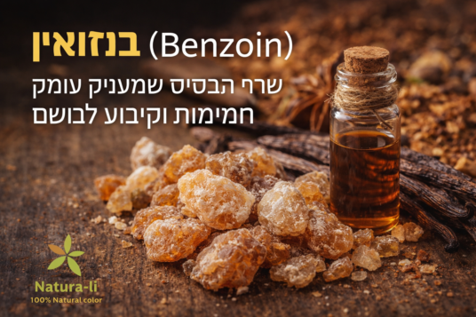 שרף בנזואין תחקיר